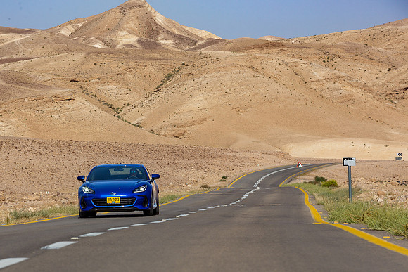 TFeder_s_brz-248
