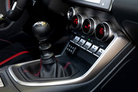TFeder_s_brz-139