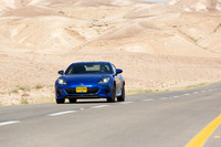 TFeder_s_brz-234