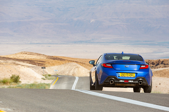 TFeder_s_brz-274