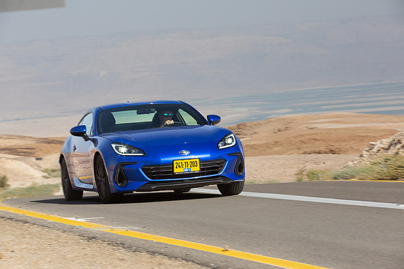 TFeder_s_brz-269