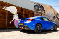 TFeder_s_brz-083