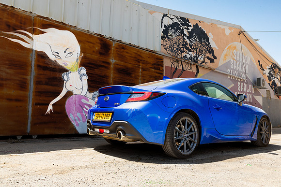 TFeder_s_brz-083