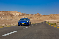 TFeder_s_brz-256-Enhanced-NR