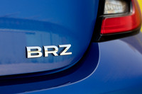 TFeder_s_brz-167