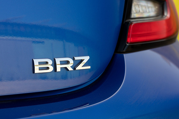 TFeder_s_brz-167