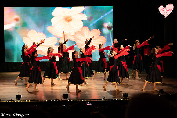 Moshe Dangoor 066