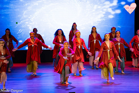 Moshe Dangoor 078