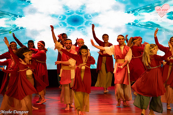 Moshe Dangoor 080