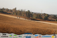 TF-OSG25-0208