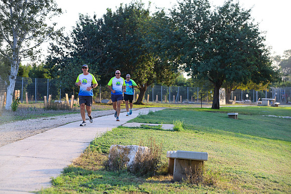 TF-MS-211125-0464