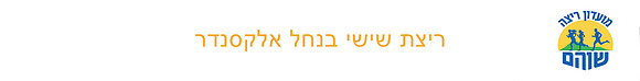 סטריפ עליון 25