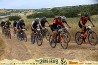 TFeder_sgl23_0188