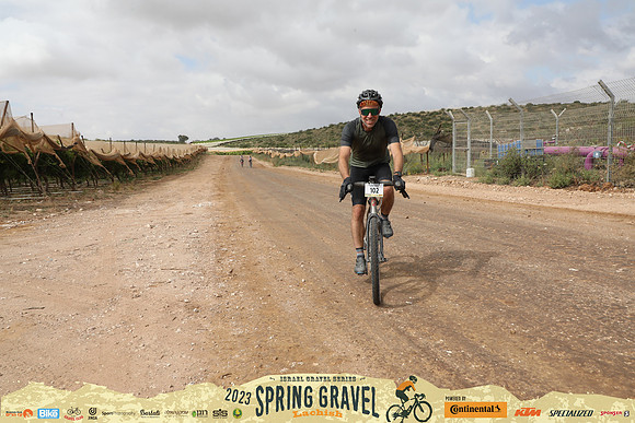 TFeder_sgl23_1281