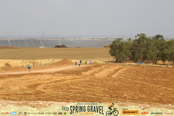 TFeder_sgl23_0958