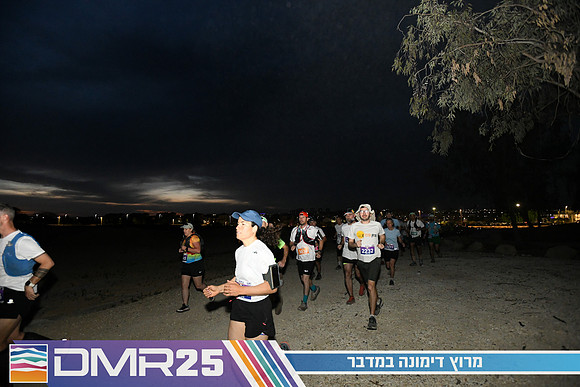 EY_DMR25-0131