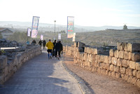ES-Dror_Run-25-0066