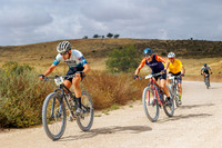 Spring Gravel Lachish 23 - Best