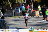 YL_gdr19-0298