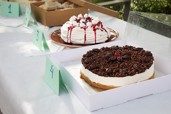 TFeder_G_shavuot_23-0137