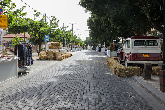 TFeder_G_shavuot_23-0008