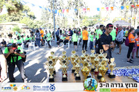 YL_gdr19-1287