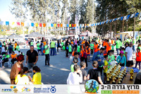 TF_gdr19-3043