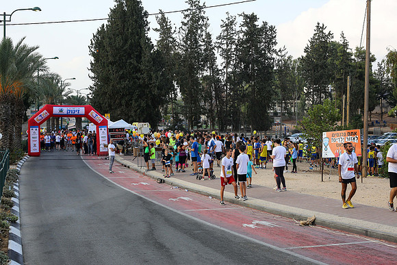 TF_gr_201017_1205