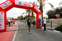 TF_gr_201017_0493
