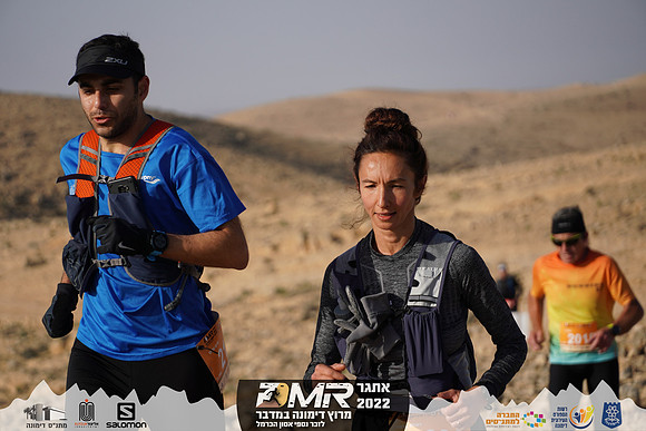 YL-DMR22-0281