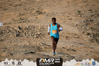 YL-DMR22-0058