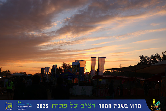 YL_r4t-0122
