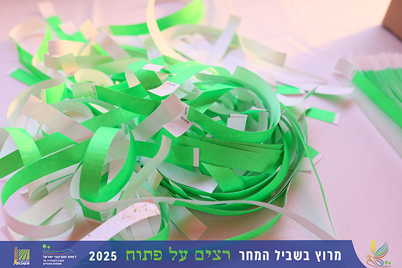YL_r4t-0171