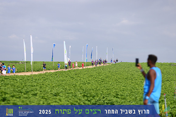 YL_r4t-1387