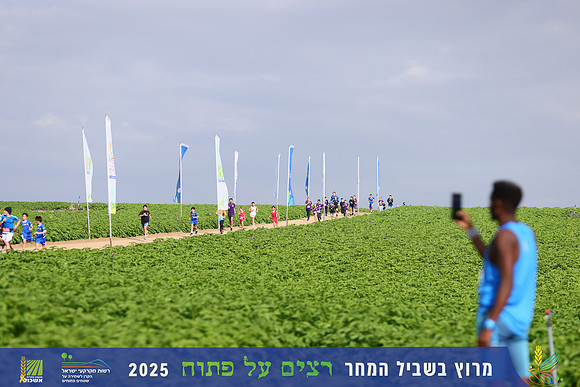 YL_r4t-1388