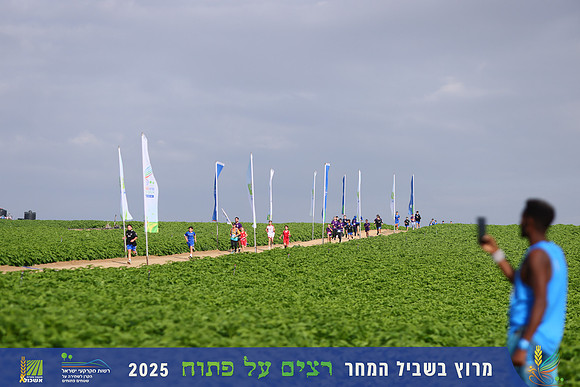 YL_r4t-1389
