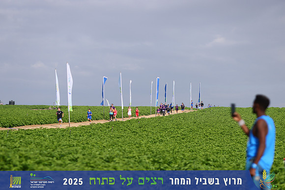 YL_r4t-1390