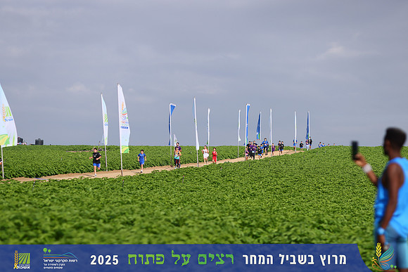 YL_r4t-1392
