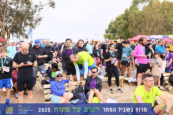YL_r4t-1617