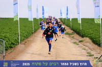 קו סיום