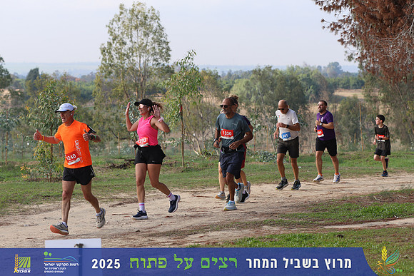 TF_r4t-1627