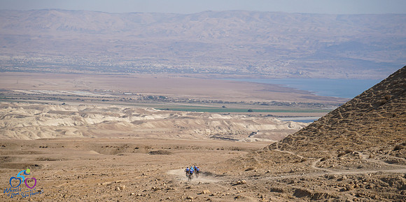 HL_WOL24-234