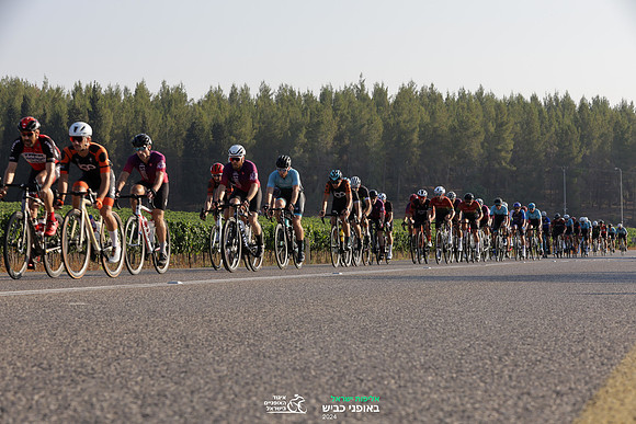 TFeder_ILC-Road24-0388
