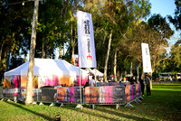 ES_sdrr25-0035