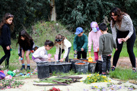 TFeder_Hm_310323-0170