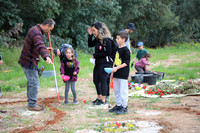 TFeder_Hm_310323-0161