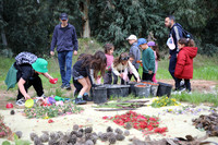 TFeder_Hm_310323-0174