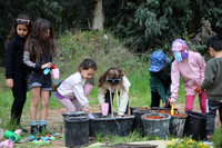 TFeder_Hm_310323-0173