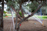 TFeder_Hm-pre_310322-0011