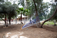TFeder_Hm-pre_310322-0014